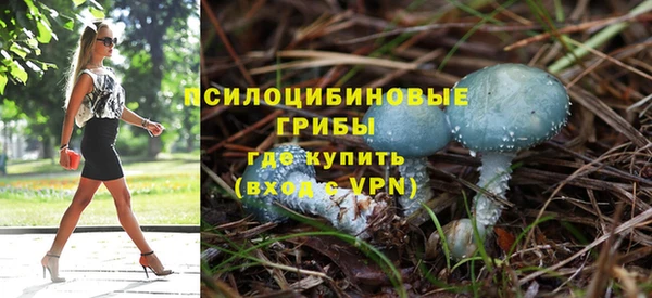 мяу мяу мука Армянск